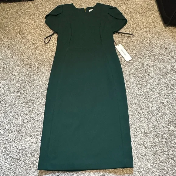 green emerald velvet dress Calvin Klein Womens Petites Crepe Boat Neck Sheath Dress Green 6P at Amazon  Women's Clothing store